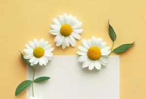 Creativity requires you to murder your children upsell