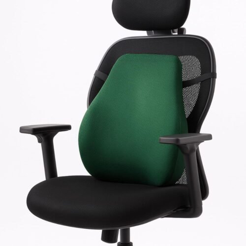 Sleepsia Memory Foam Lumbar Support Pillow